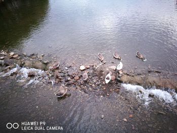 High angle view of rocks in lake