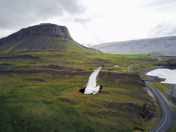 Scenic view of landscape against sky
