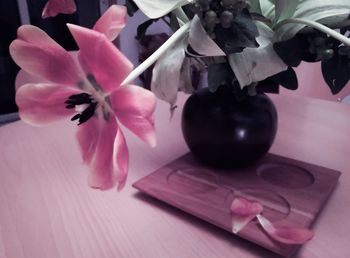 Close-up of flowers