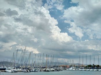 Sailboats in marina