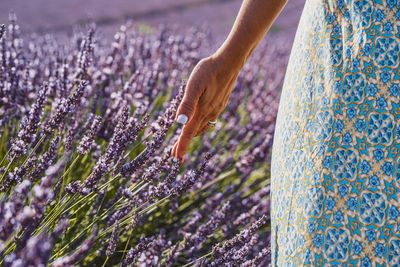 Cropped hand of woman standing on field