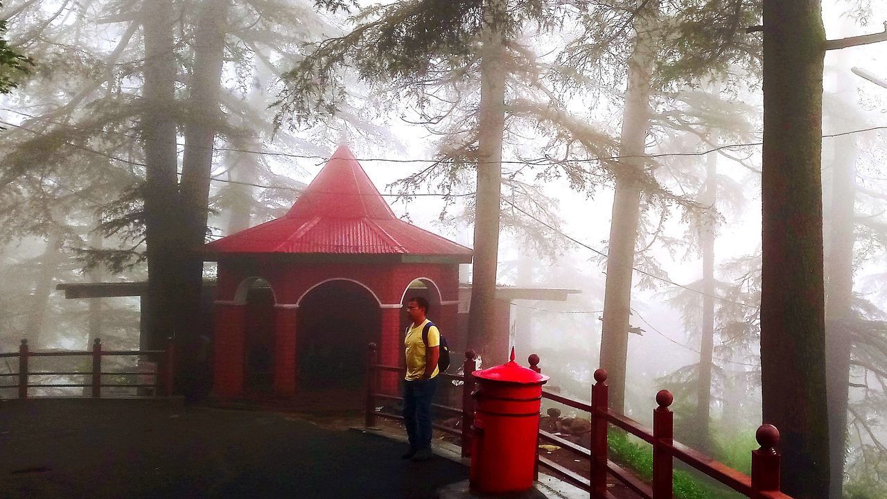 TRADITIONAL WINDMILL IN FOGGY WEATHER