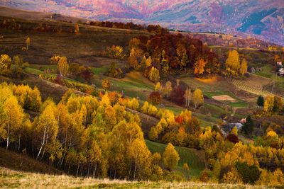 Scenic view of landscape during autumn