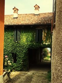 View of house with windows