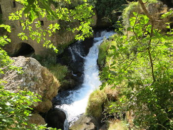 Scenic view of waterfall in forest