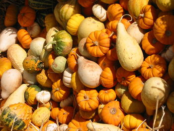 Stack of pumpkins at market