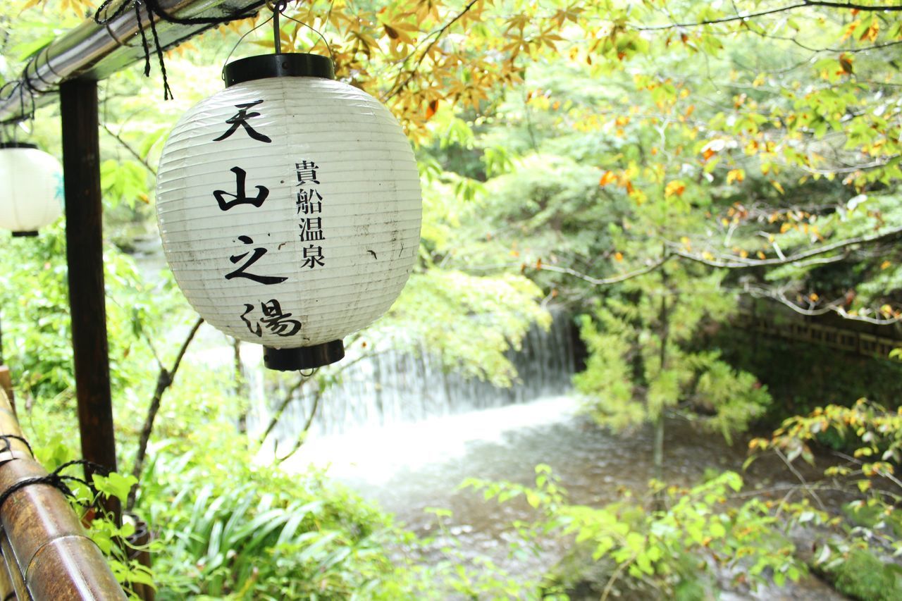 CLOSE-UP OF WARNING SIGN ON TREE TRUNK