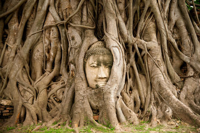 View of buddha statue