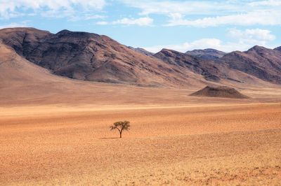 Scenic view of desert against sky