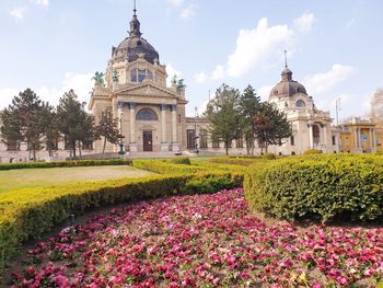 View of flowering plants in garden