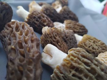 Close-up of pine cone