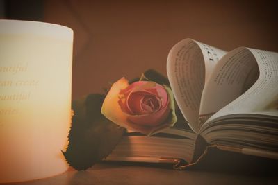 Close-up of rose on table