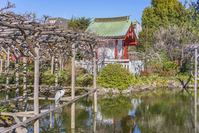 Plants by lake and building against sky