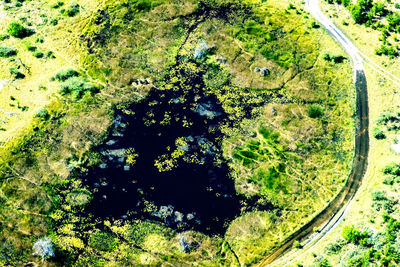 High angle view of trees on landscape