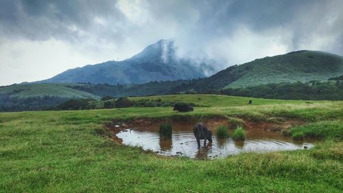 Scenic view of lake against cloudy sky