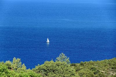 Scenic view of calm sea