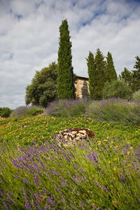 High angle view of chianti region, italy