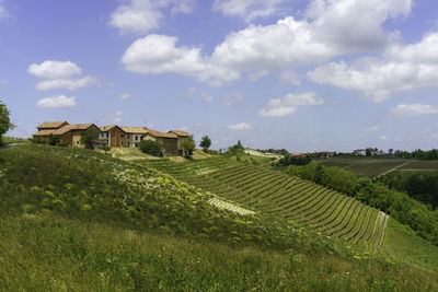 Houses on field against sky