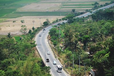 High angle view of highway amidst trees in city