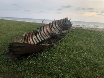 Wood on beach against sky