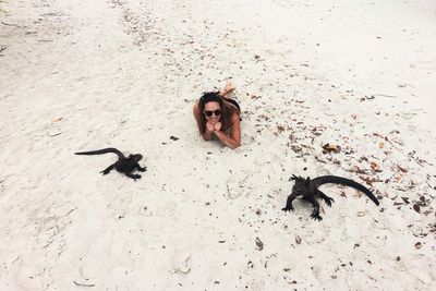 High angle view of a woman and lizards on sand