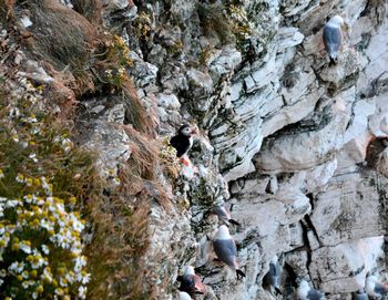 People standing on rock