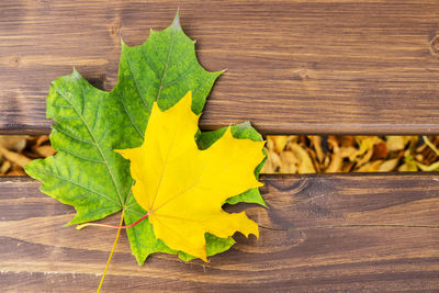 Close-up of yellow leaf on wooden table