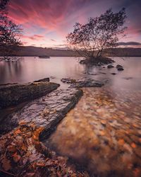 Scenic view of lake against sky during sunset