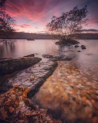 Scenic view of lake against sky at sunset during autumn