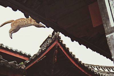 Low angle view of building against sky