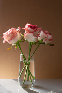 Close-up of pink roses in vase on table