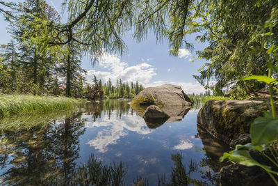 Reflection of trees in lake against sky