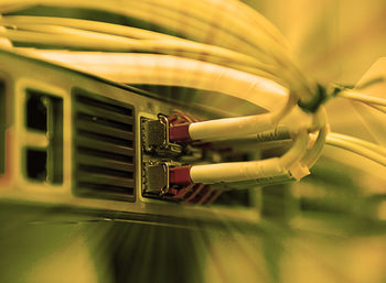 Close-up of network connection plug