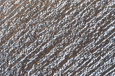 Full frame shot of snow covered land