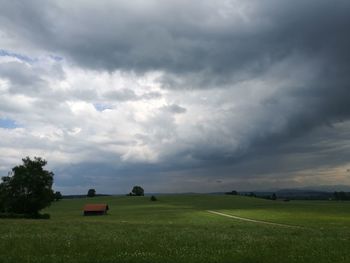 Scenic view of agricultural field against sky