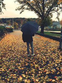 Rear view of woman standing by tree during autumn