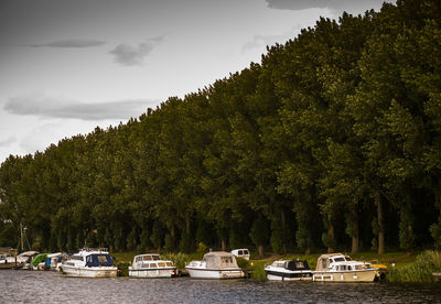 Boats in calm lake against trees
