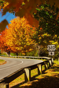 Road by trees in park during autumn