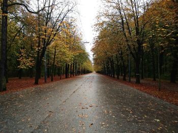 Road amidst trees in forest during autumn