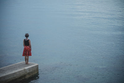 Rear view of woman standing by sea