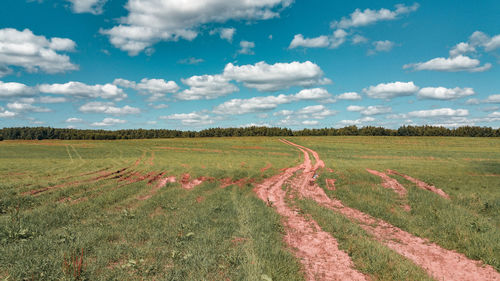 Scenic view of field against sky