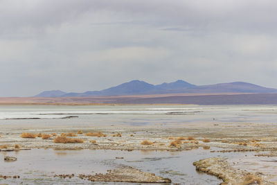 Scenic view of beach against sky