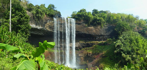 Scenic view of waterfall against trees in forest