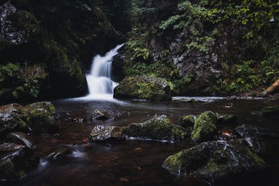 Scenic view of waterfall in forest