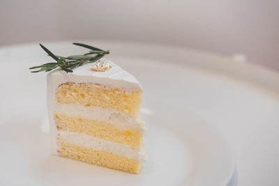 Close-up of cake in plate