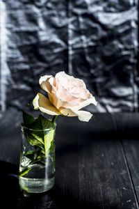 Close-up of rose on glass