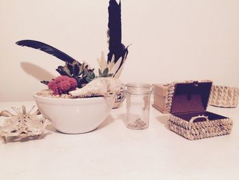 Close-up of potted plant on table against white background