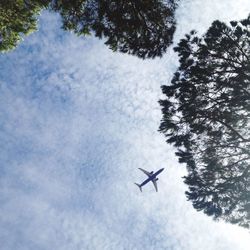 Low angle view of airplane flying in sky