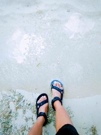 Low section of woman standing on shore