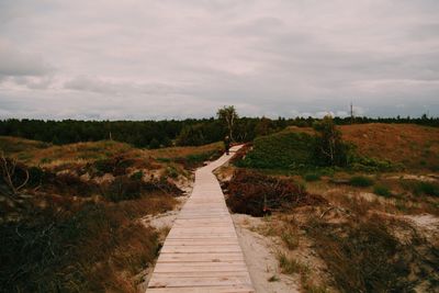 Narrow pathway along plants